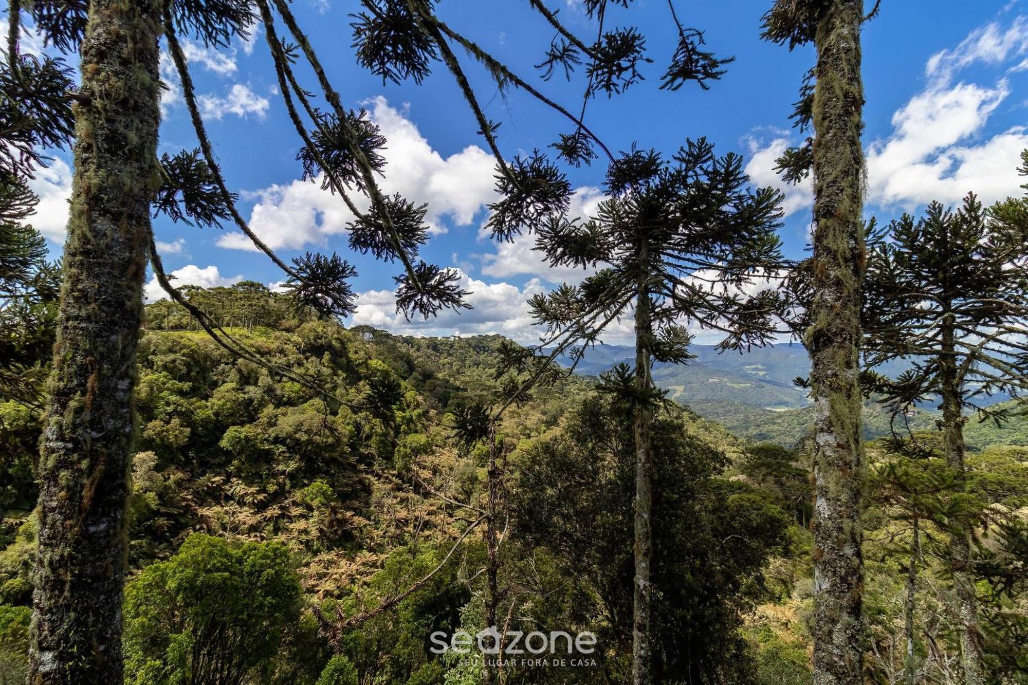 Chales Encantadores Em Urubici/Sc - Par Habitación foto
